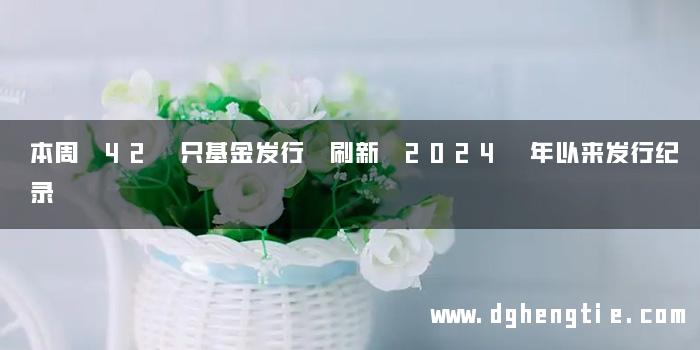 本周 42 只基金发行 刷新 2024 年以来发行纪录